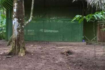 Centro Ayaymama Mystic