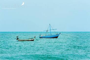 Hotel Amotape Comfort