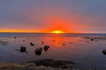 Wildflowers Country Inn