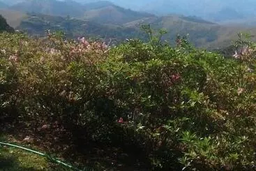 ホテル Suites Em Meio A Mata Atlantica