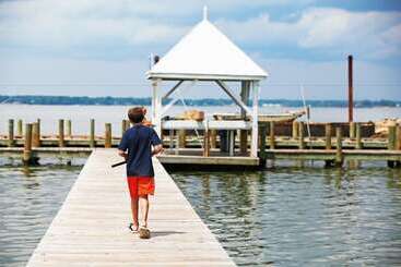 リゾートホテル Grey S Point Camp