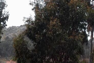 Hostal Piedra Andina