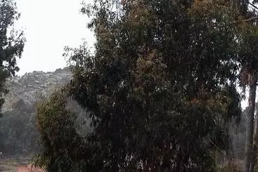 Hostal Piedra Andina