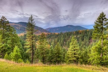 مبيت وإفطار The Lodge At Trout Creek