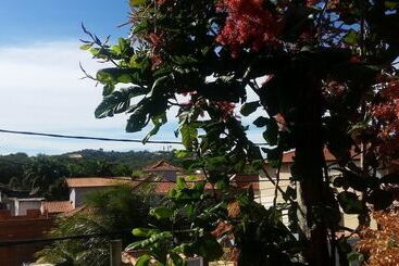 호텔 Pousada Beija Flor Buzios