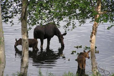 Kır Evi St. Theresa S Lakeside Resort