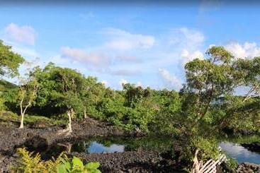 هتل Bayview Resort