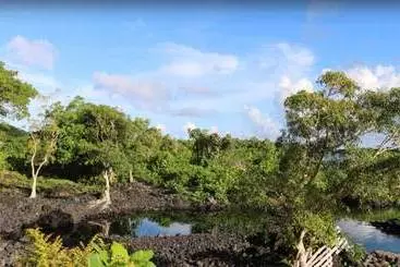 هتل Bayview Resort