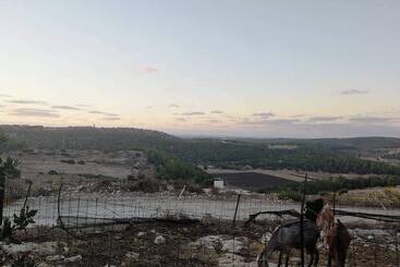 Galilee Bedouin Camplodge
