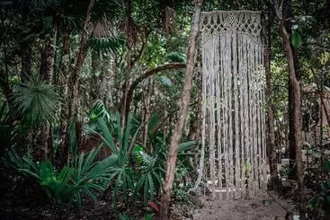 Lunita Jungle