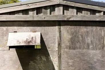 田舎風ホテル The Mainstay