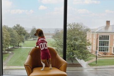 The Highlander Hotel Radford