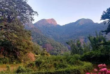 Hotel Eco Lodge Meemure & Adventure Park