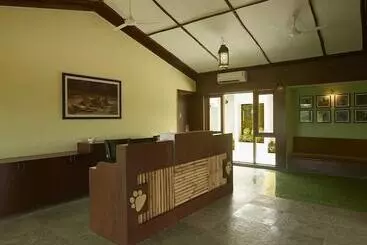 Otel Asiatic Lion Lodge