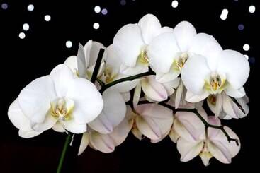 膳宿费 Domaine Rampale