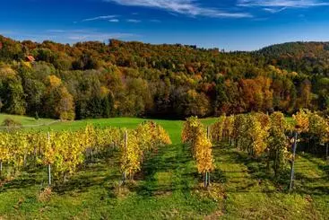 Majatalo Hoefer Der Genusstreffpunkt