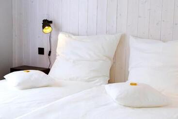 膳宿费 Logierhaus Rheintoreins