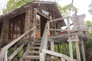 Hôtel Isla Palma Playa Y Ecohabs