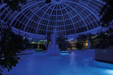 Vital Hotel Rhein Main Therme Wellness Resort & Spa