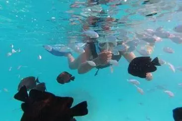 پانسیون Jerrys Dive Lodge Rasdhoo