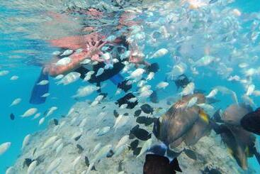 Pensión Jerrys Dive Lodge Rasdhoo