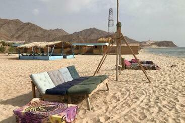 هاستل Baywatch Camp