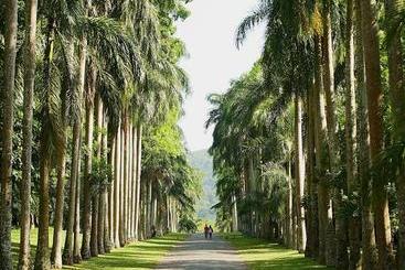 Bed & Breakfast Maya Residence