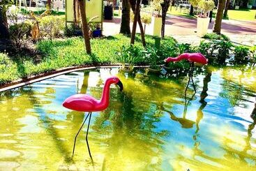 فندق The Swan Valley