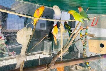 住宿加早餐 Ga7colores