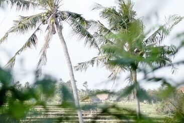 בית מלון כפרי Planta Boutique Resort