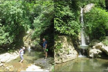 Bed and Breakfast Agriturismo Orrido Di Pino