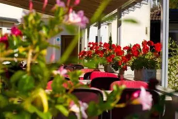 Pensionat Gasthof Zum Wilden Mann