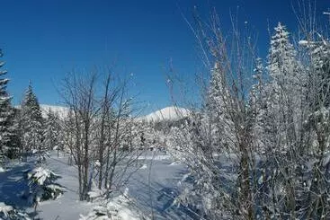 ホテル Lesní Bouda
