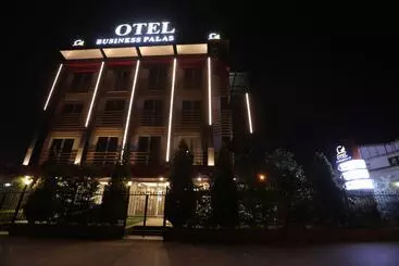 Hotel Business Palas