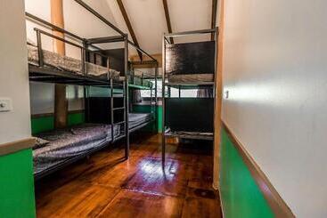 Retkeilymaja Jackaroo Treehouse Rainforest Retreat