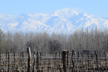 Postales Hotel Boutique Valle De Uco