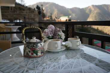 Отель Alpine Musk