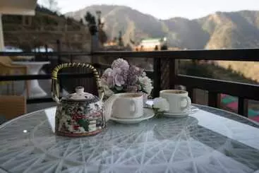 Hôtel Alpine Musk