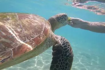 Bed and Breakfast E Seven House