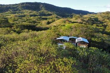 Pensione Four Trees Jungle Lodge