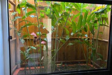 ペンション Pousada Flor Do Rio