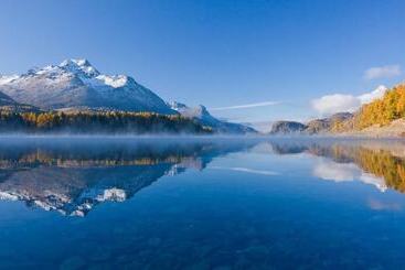 Отель Bever Lodge