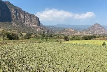 ホテル Brida Tlayacapan