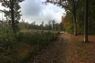 ベッドアンドブレックファースト Villa Helena