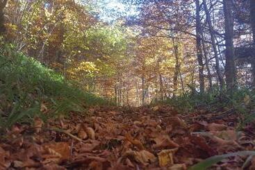 پانسیون Apartmani Matko