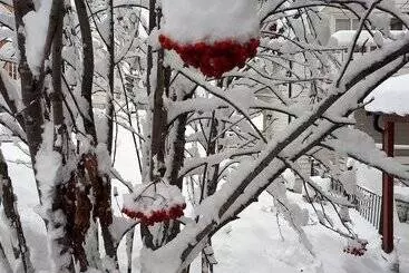 Pensionat Arctic Rooms Rektor