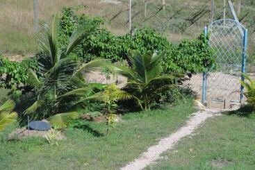 هاستل Amy S Room