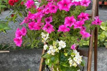 酒店 Albergo Mologna