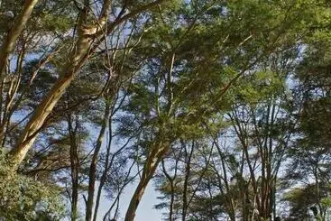 ホテル Migunga Tented Camp