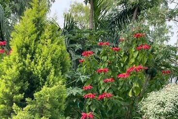 Hotel Tekri Farms And Retreat